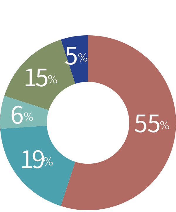 55%, 19%, 6%, 15%, 5%
