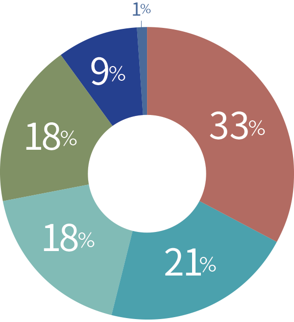 33%, 21%, 18%, 18%, 9%, 1%