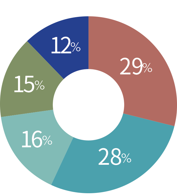 29%, 28%, 16%, 15%, 12%