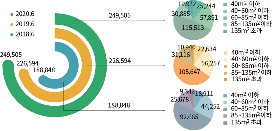 2020.6 2019.6 2018.6 249,505 226,584 188,848 115,513 57,891 30,885 25,244 19,972 40m2이하 40~60m2이하 60~85m2이하 85~135m2이하 135m2이하 105,647 56,257 31,116 22,634 10,910 40m2이하 40~60m2이하 60~85m2이하 85~135m2이하 135m2초과 92,665 44,252 25,678 16,911 9,342 40m2이하 40~60m2이하 60~85m2이하 85~135m2이하 135m2초과